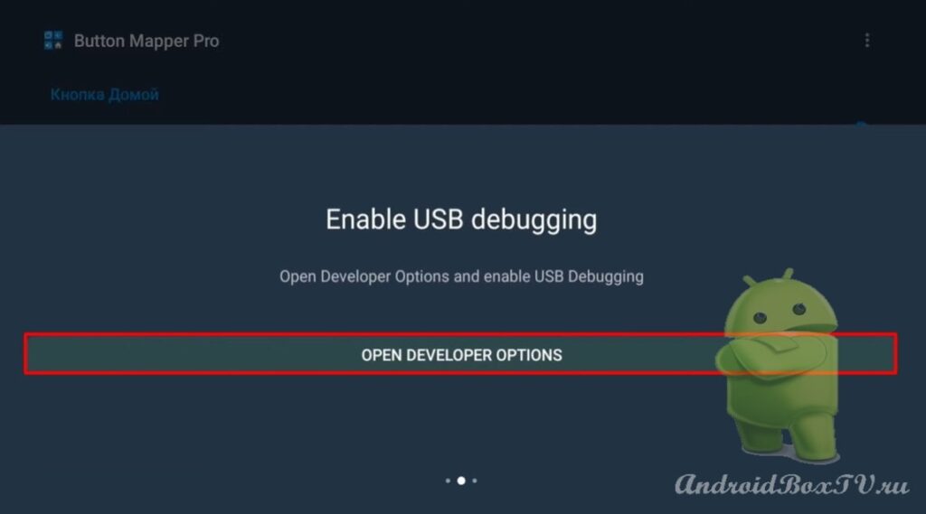 screenshot of developer options selection screen