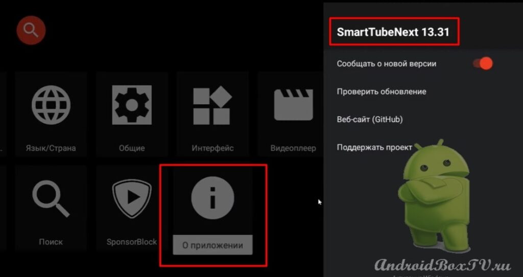 версия приложения в разделе о приложении SmartTubeNext андроид тв